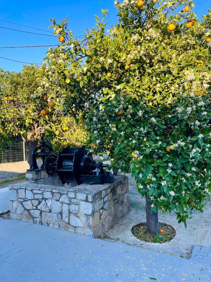 Citrus Garden Villa Epidaurus Dış mekan fotoğraf