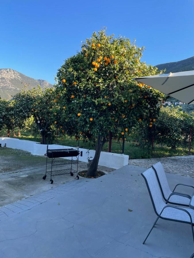 Citrus Garden Villa Epidaurus Dış mekan fotoğraf