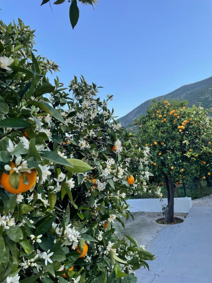 Citrus Garden Villa Epidaurus Dış mekan fotoğraf