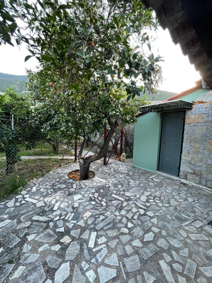 Citrus Garden Villa Epidaurus Dış mekan fotoğraf