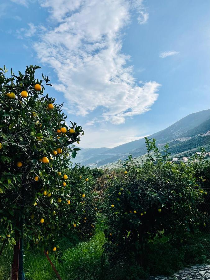 Citrus Garden Villa Epidaurus Dış mekan fotoğraf